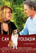 can-yoldasim