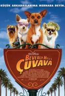 beverly-hills-chihuahua