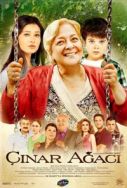 cinar-agaci